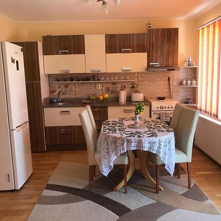 Steluta Villa Călimăneşti Bagian luar foto