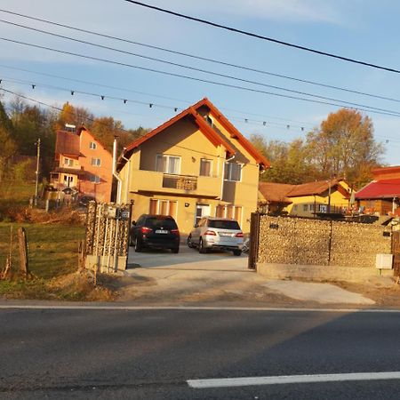 Steluta Villa Călimăneşti Bagian luar foto