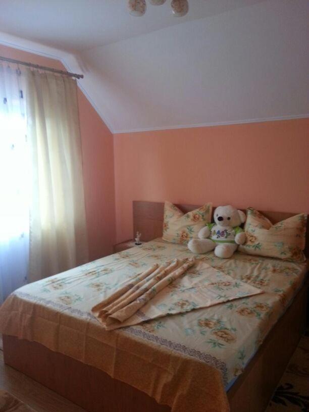 Steluta Villa Călimăneşti Bagian luar foto