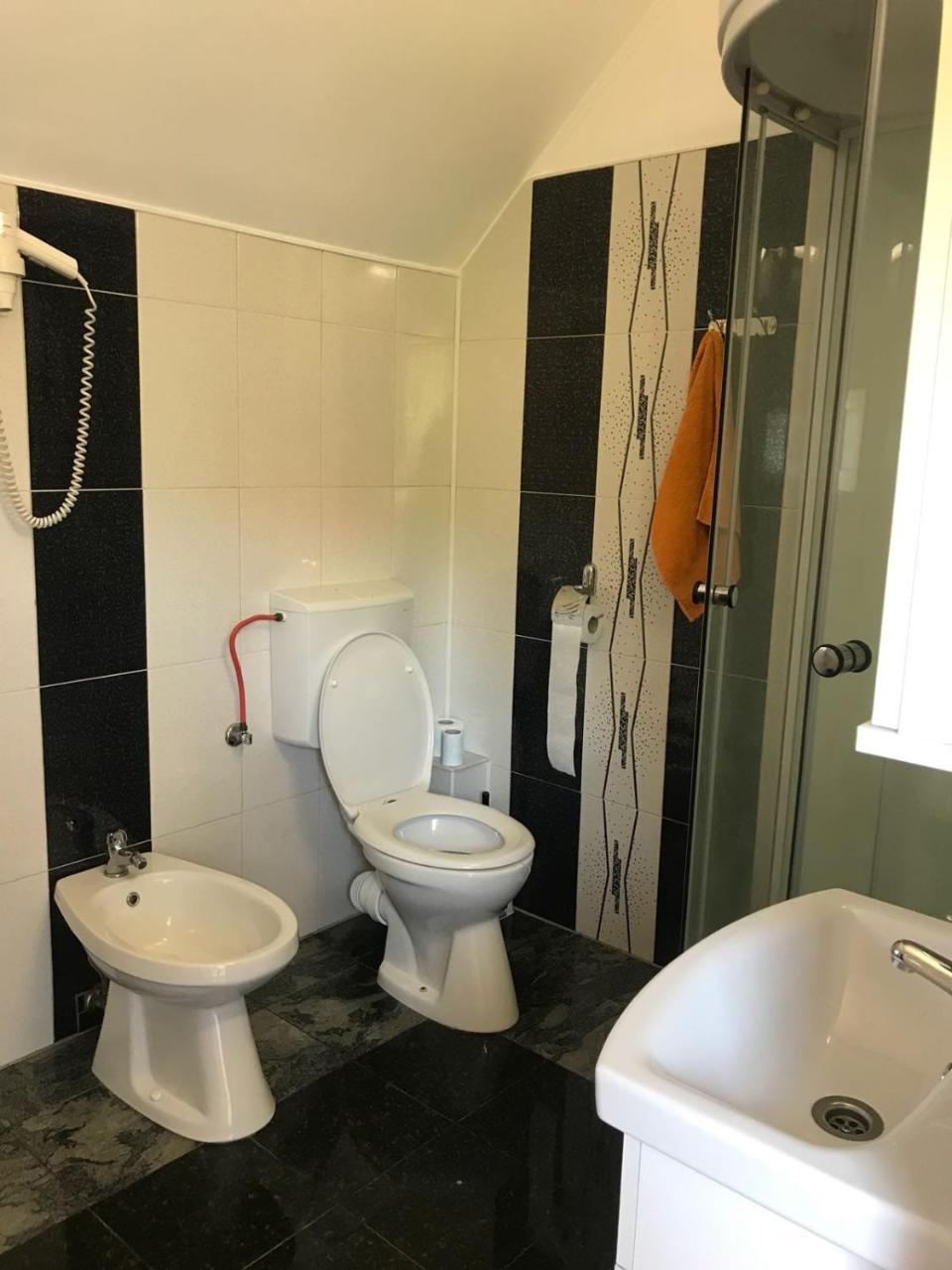 Steluta Villa Călimăneşti Bagian luar foto