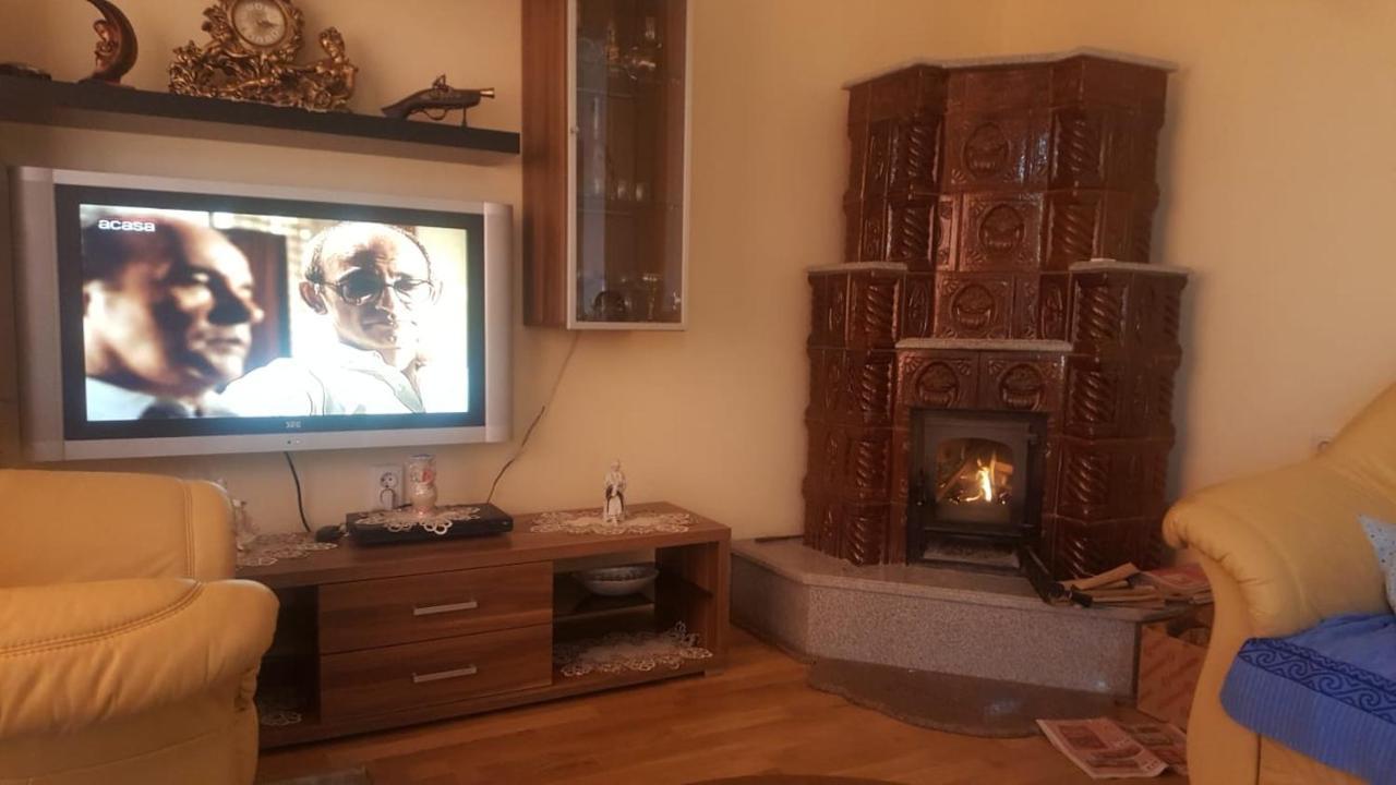 Steluta Villa Călimăneşti Bagian luar foto
