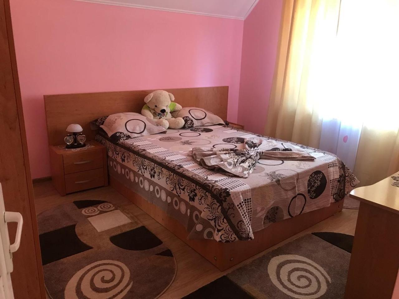 Steluta Villa Călimăneşti Bagian luar foto