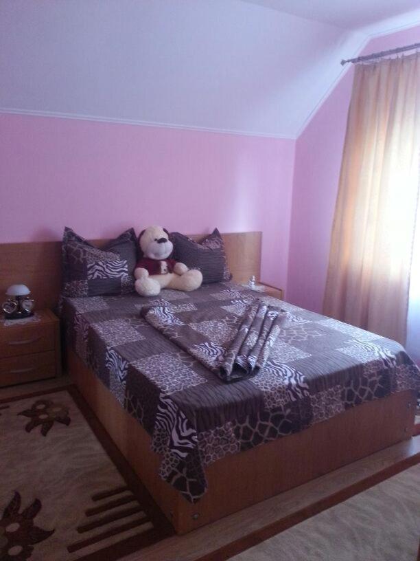 Steluta Villa Călimăneşti Bagian luar foto