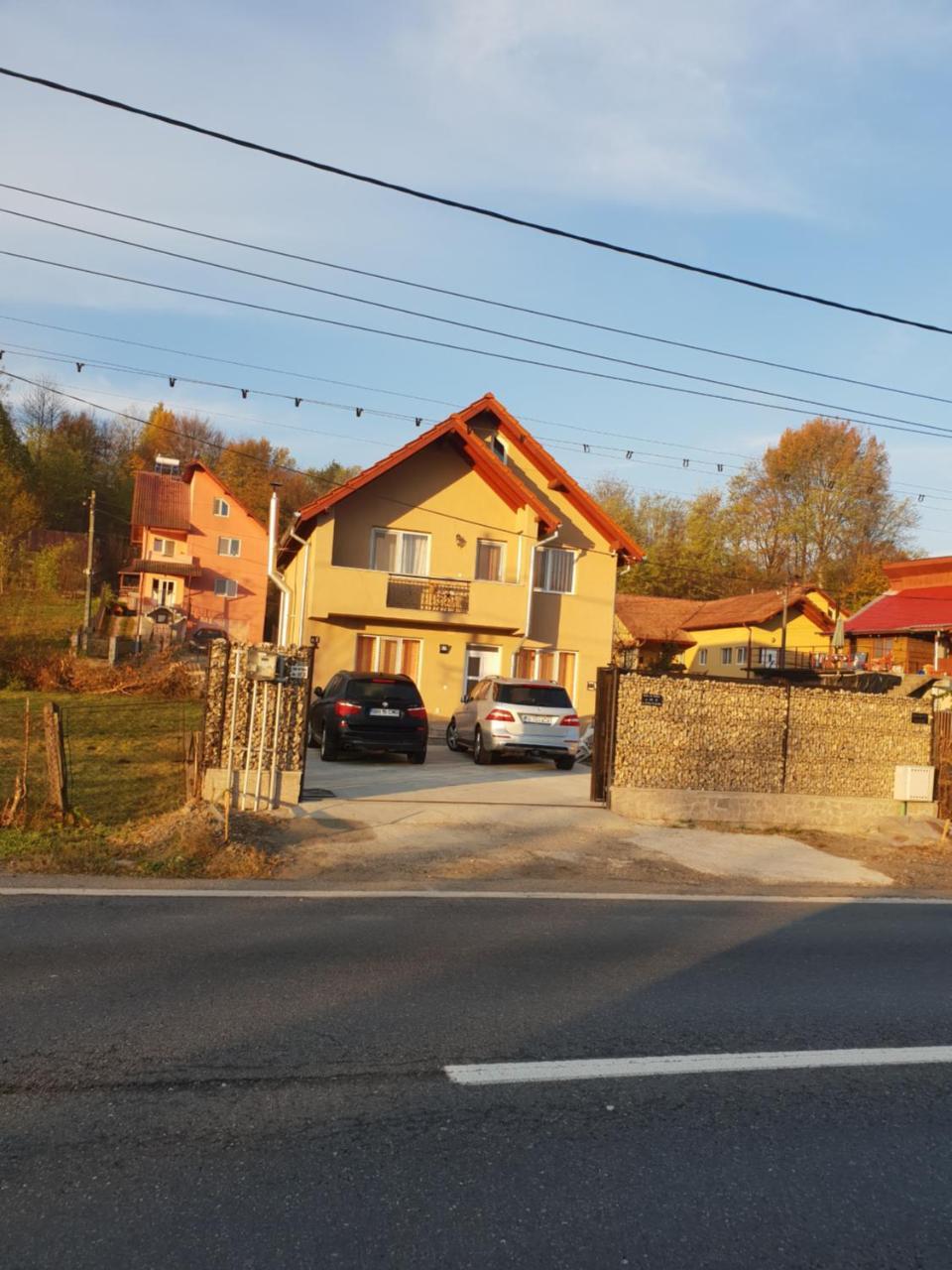 Steluta Villa Călimăneşti Bagian luar foto