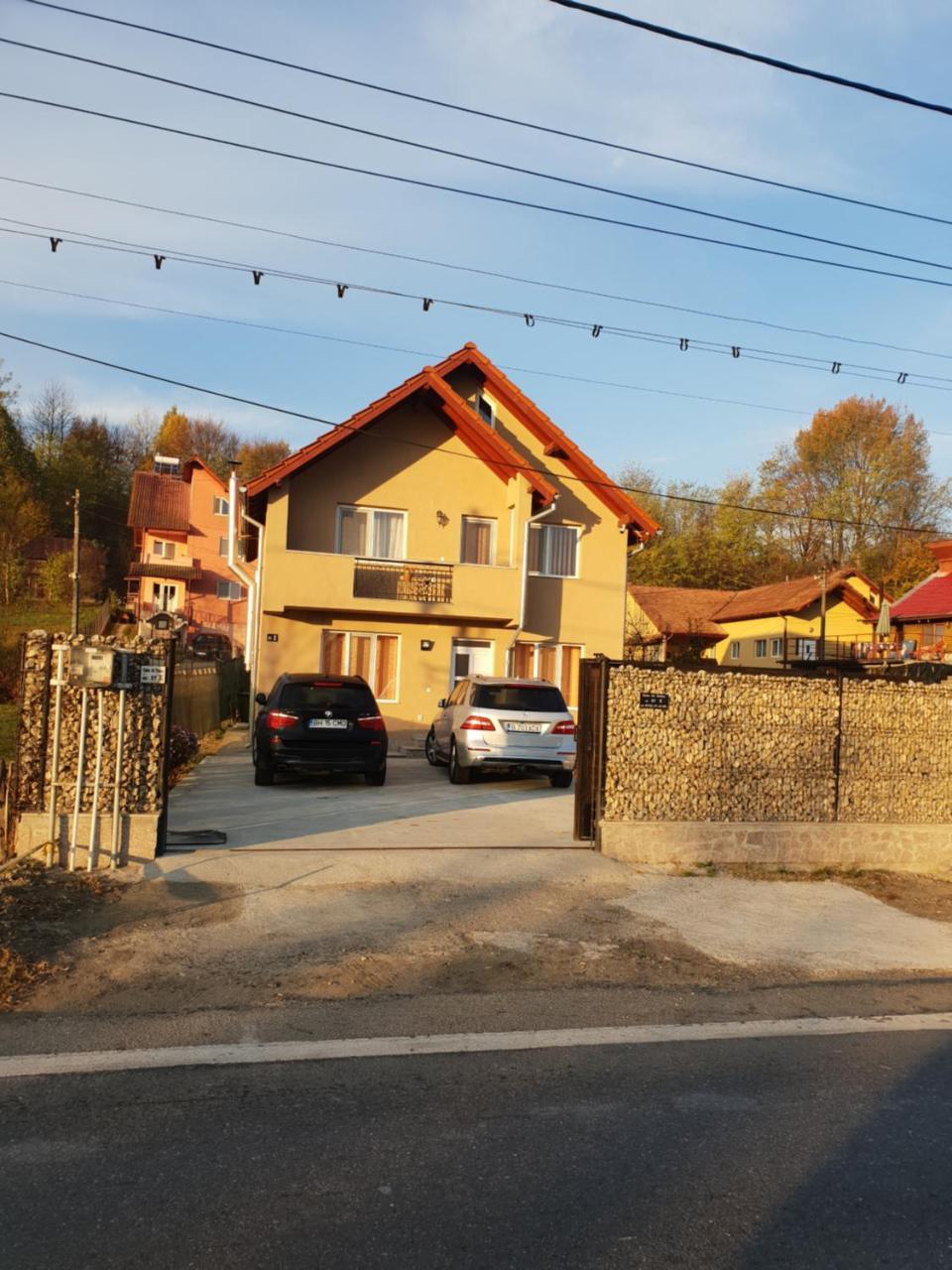 Steluta Villa Călimăneşti Bagian luar foto